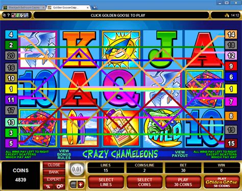 golden goose crazy chameleons casinos - Golden Goose 